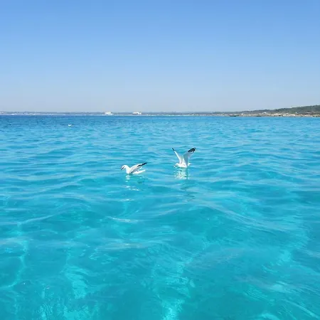 Nocleg ze śniadaniem Mistral Exclusive