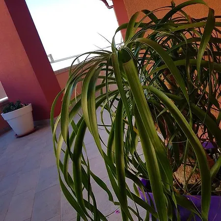 Nocleg ze śniadaniem Mistral Exclusive 4*