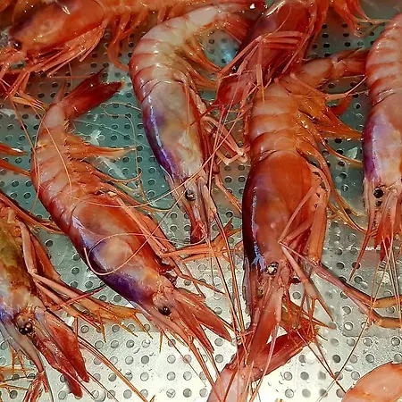 Nocleg ze śniadaniem Mistral Exclusive Gallipoli