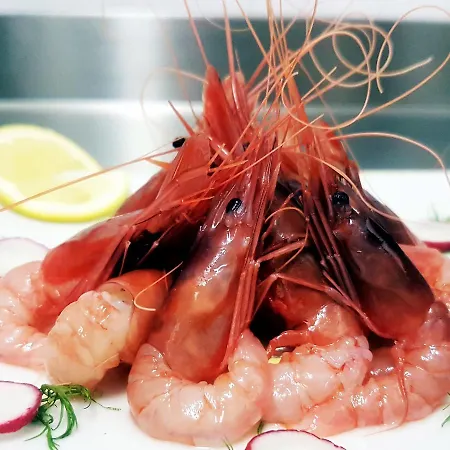 B&B Mistral Exclusive